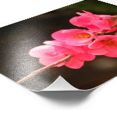 Rama con hermosas flores フォトプリント            (角)