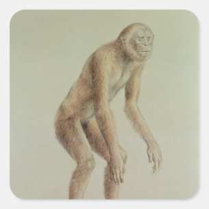 Ramapithecus スクエアシール