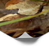 Ramaria stricta Fungiのポスター ポスター (角)