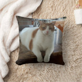 Ramboの子猫 クッション (ブランケット)