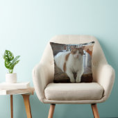 Ramboの子猫 クッション (椅子)