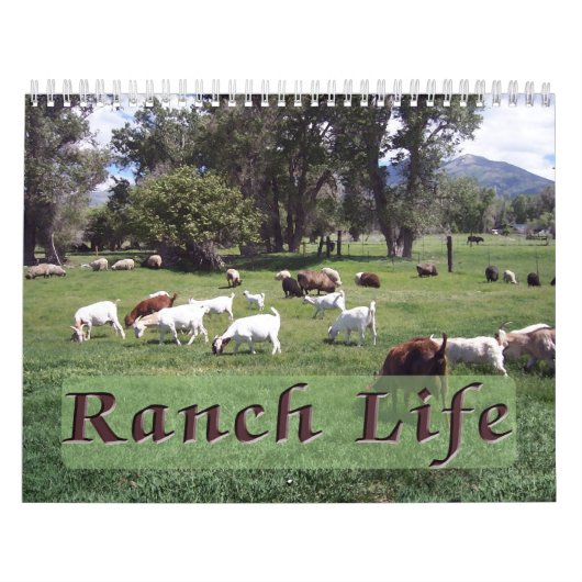 Ranch Life at the Blackman Ranch カレンダー (カバー)