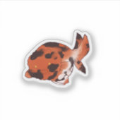 Ranchu goldfish sticker シール (正面)