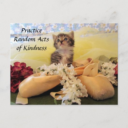 Random Act of Kindessはがき – Ballerina Cat ポストカード (正面)