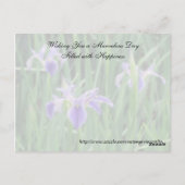 Random Act of Kindessはがき – Purple Iris ポストカード (裏面)