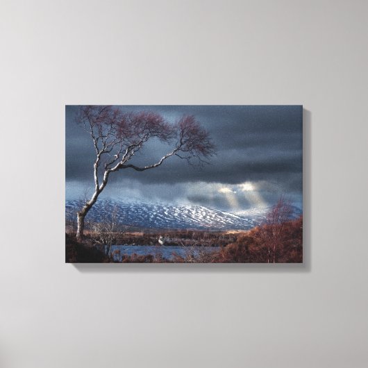 Rannoch Moor Lonesome Tree キャンバスプリント (正面)