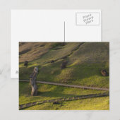Rano Raraku、Rapa Nui、Easter Island、チリ ポストカード (正面/裏面)