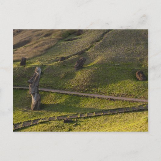 Rano Raraku、Rapa Nui、Easter Island、チリ ポストカード (正面)