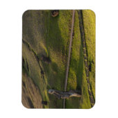 Rano Raraku、Rapa Nui、Easter Island、チリ マグネット (縦)