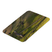 Rano Raraku、Rapa Nui、Easter Island、チリ マグネット (左側)