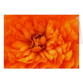 Ranunculusのハート