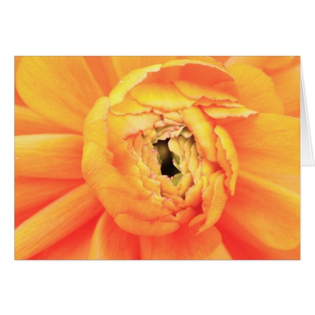 Ranunculusの入り口。 (正面横)