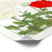 Ranunculus by谷上湖南 ポスター (角)