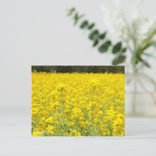 Rapeseed field ポストカード (スタンド正面)