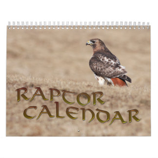Raptorカレンダー カレンダー