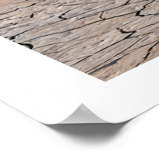 RAPTORS PRINT ポスター (角)