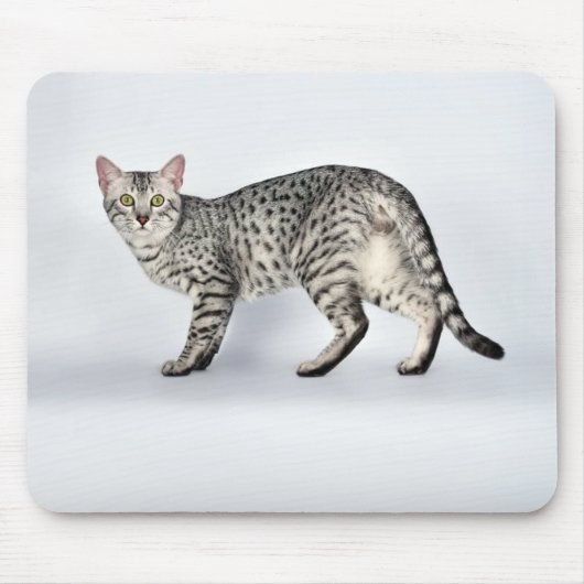 Rare Egyptian Mau Cat マウスパッド (正面)