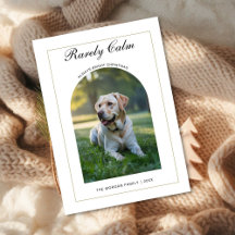 Rarely Christmas Cute dog Simple Photo card
