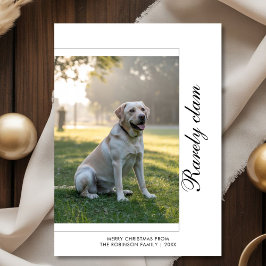 Rarely Christmas Dog Holiday Card |  Pet Photo シーズンカード