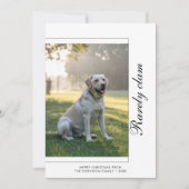 Rarely Christmas Dog Holiday Card |  Pet Photo シーズンカード (正面)