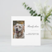 Rarely Christmas Golden Retriever Christmas Card シーズンカード (スタンド正面)