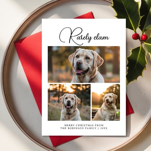 Rarely Christmas in the Snow Winter Dog Photo card シーズンカード