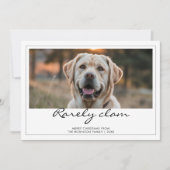 Rarely Christmas Labrador Dog Card シーズンカード (正面)