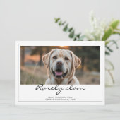 Rarely Christmas Labrador Dog Card シーズンカード (スタンド正面)