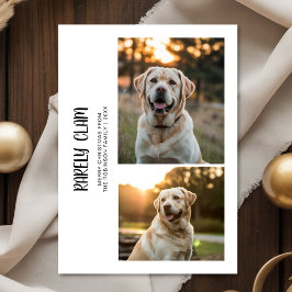 Rarely Christmas Outdoor 2 Dog Photo Card シーズンカード