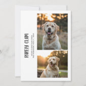 Rarely Christmas Outdoor 2 Dog Photo Card シーズンカード (正面)