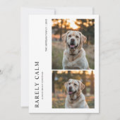 Rarely Christmas Park Outdoor Dog Holiday card シーズンカード (正面)