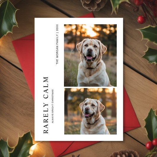 Rarely Christmas Park Outdoor Dog Holiday card シーズンカード