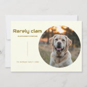 Rarely Christmas Sitting Dog Photo | Minimal card シーズンカード (正面)