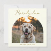 Rarely Christmas Sunset Golden Hour Dog Card  シーズンカード (正面)