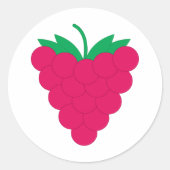 Raspberry Pink Fruit Berry ラウンドシール (正面)