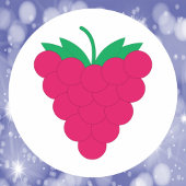 Raspberry Pink Fruit Berry ラウンドシール