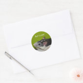 Rat Lover Stickers ラウンドシール (封筒)