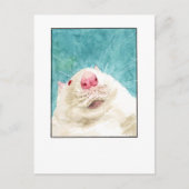 Rat Pet Selfie- DNMポストカード ポストカード (正面)