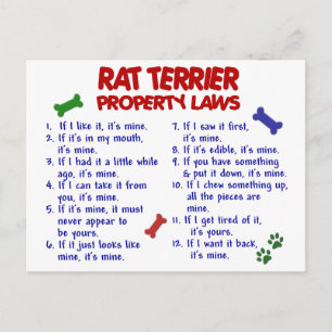 RAT TERRIER財産法2 ポストカード