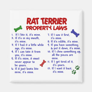 RAT TERRIER財産法2 マグネット
