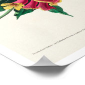 Rathbone Warbler by Audubon Poster ポスター (角)