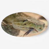 Ratlesnakeクローズアップ写真 ペーパープレート (アングル)