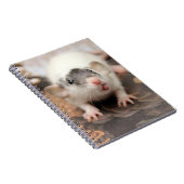 Rat's tongue ! ノートブック (右側)