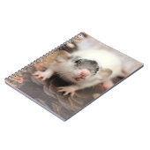 Rat's tongue ! ノートブック (左側)