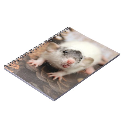 Rat's tongue ! ノートブック (左側)