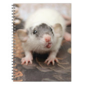 Rat's tongue ! ノートブック (正面)