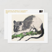 Ratte No. 09 * Rat * Ratten-Postkarten * Rat-Postc ポストカード (正面/裏面)