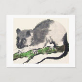Ratte No. 09 * Rat * Ratten-Postkarten * Rat-Postc ポストカード (正面)