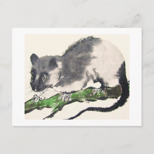 Ratte No. 09 * Rat * Ratten-Postkarten * Rat-Postc ポストカード (正面)