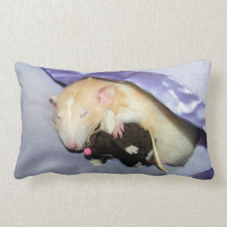 RatTeddy 16x16枕で眠るマーティ ランバークッション